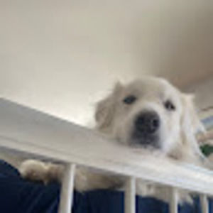 Meet your Posher, Molly